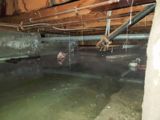 Best Sewage Cleanup and Restoration in Murfreesboro, TN