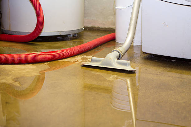 Best Water Damage Assessment and Inspection in Murfreesboro, TN